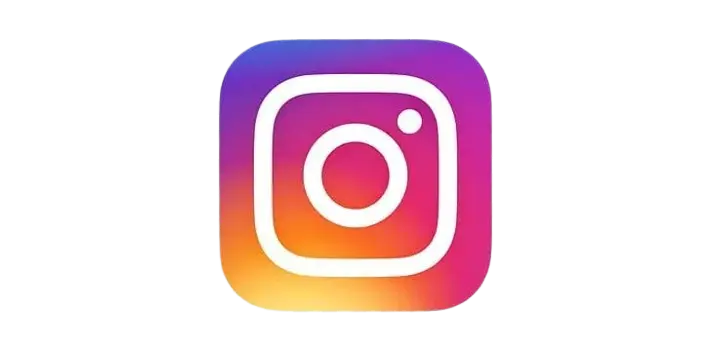 Instagram Logo Paletas Wey