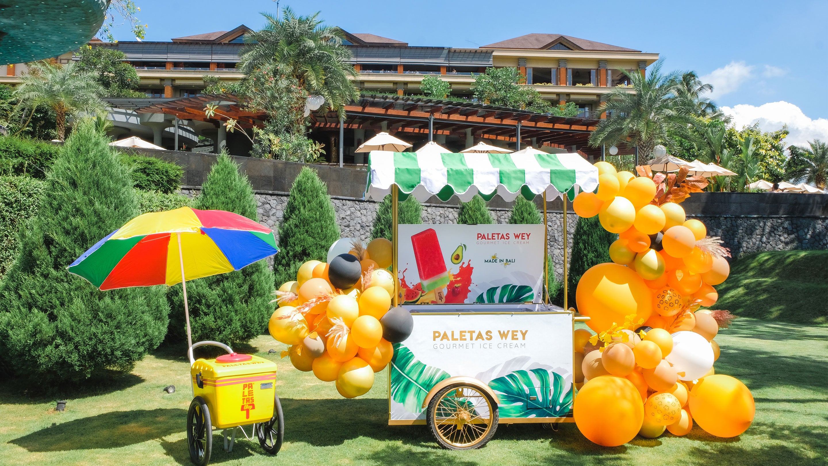 Es Krim Sehat Paletas Wey