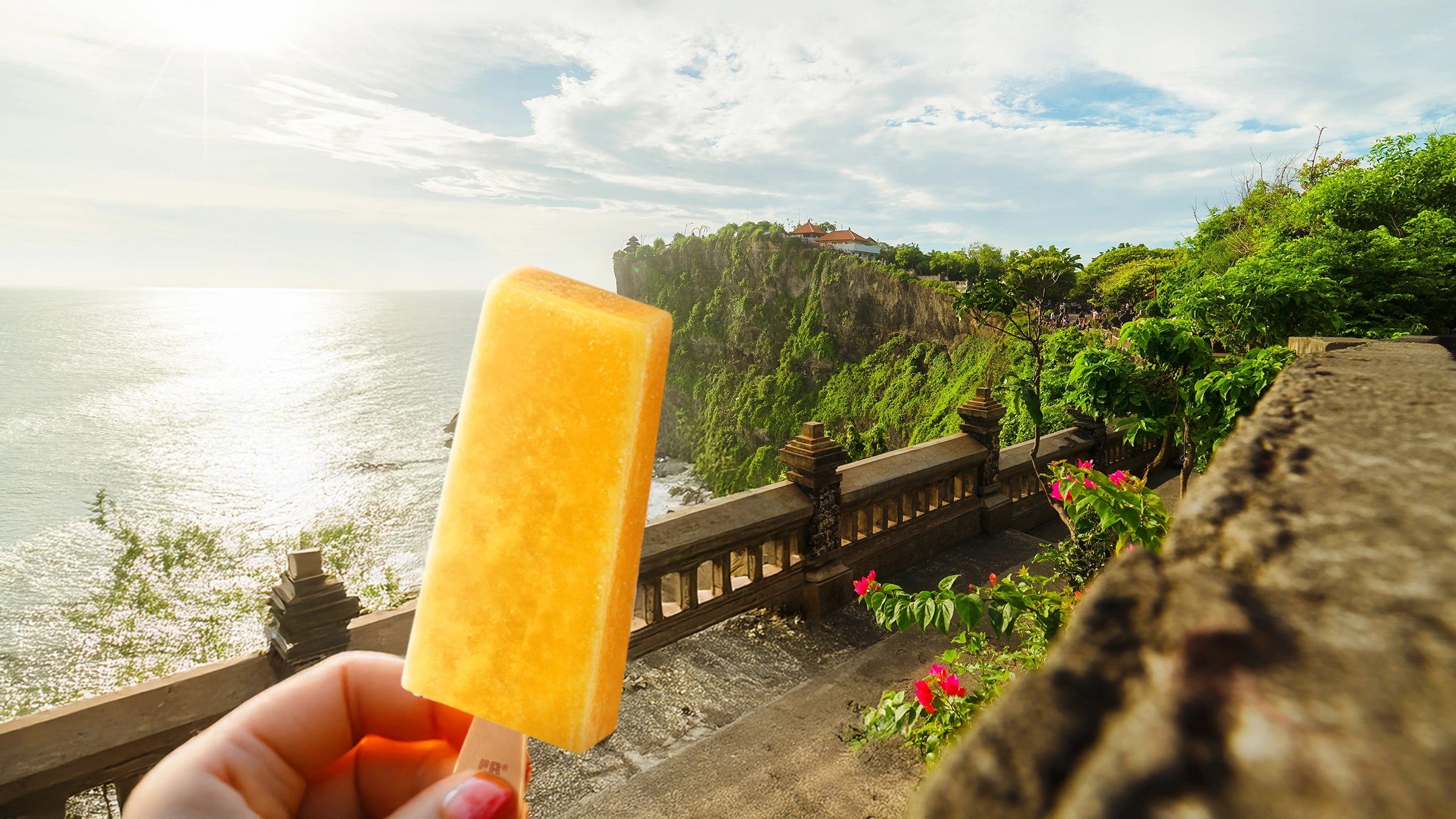 Es Krim Sehat Paletas Wey