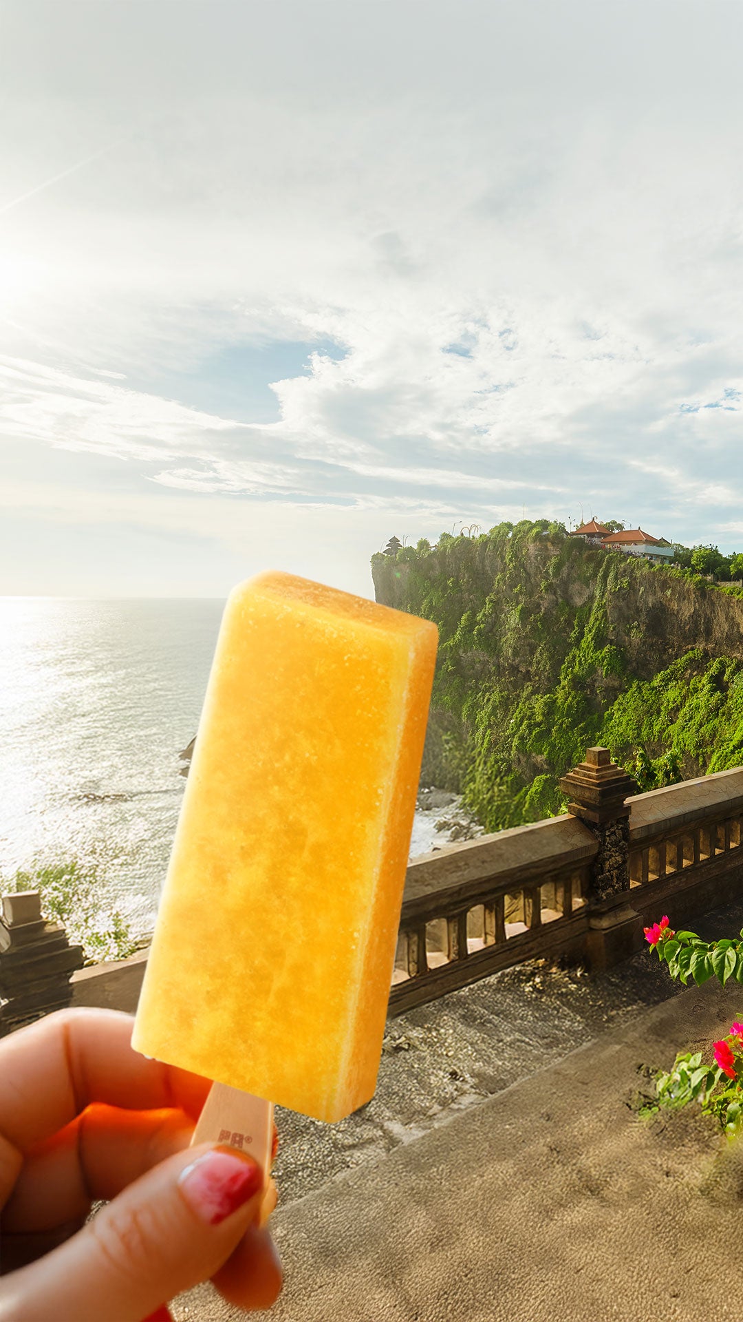 Es Krim Sehat Paletas Wey