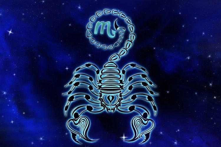 Ramalan Scorpio 2025 Paletas Wey: Tahun Penuh Ketenangan