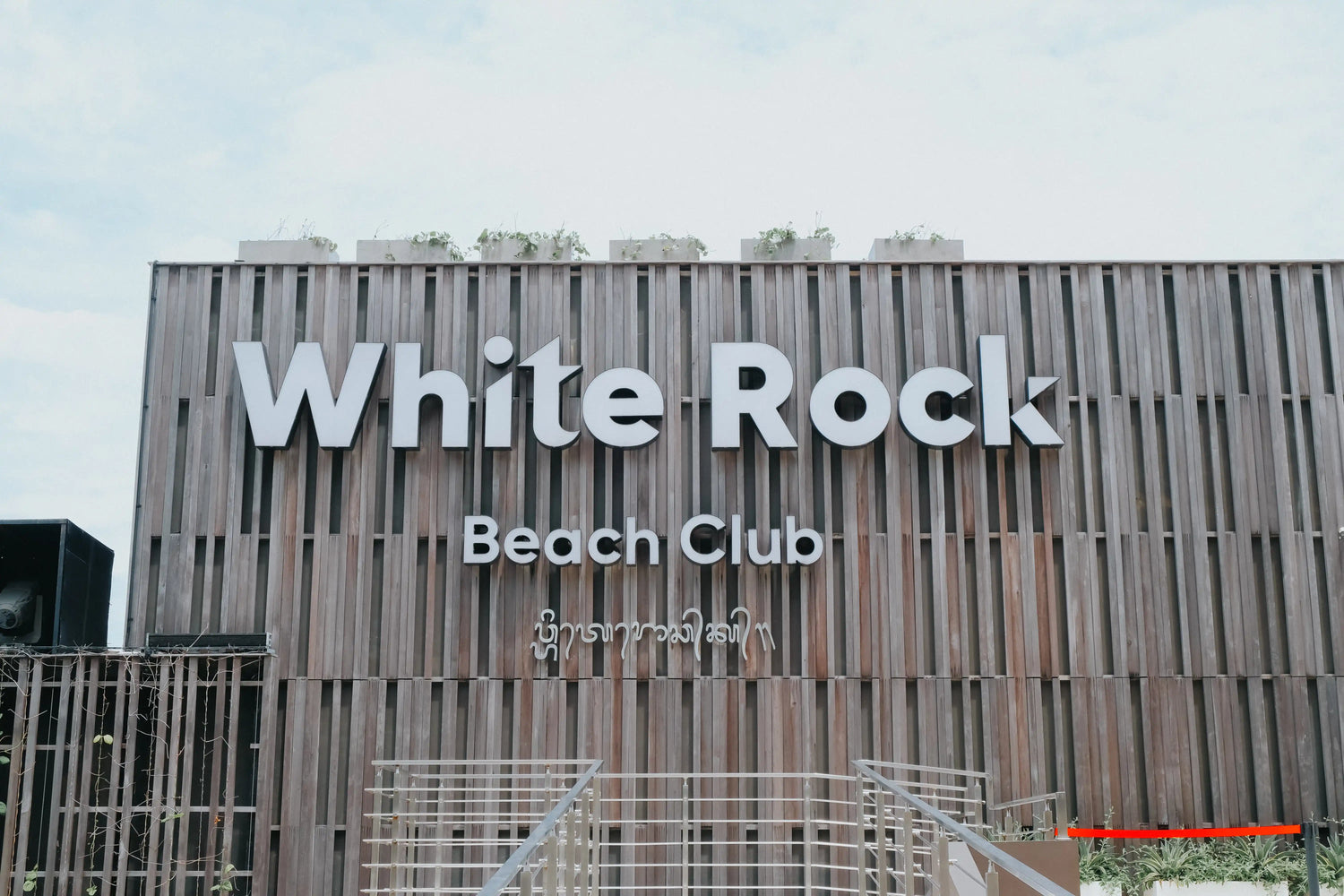 Whiterock Paletas Wey